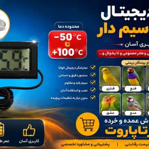 دماسنج دیجیتالی