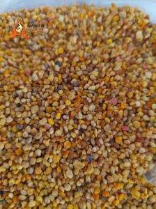 گرده گل ایرانی درجه ۱