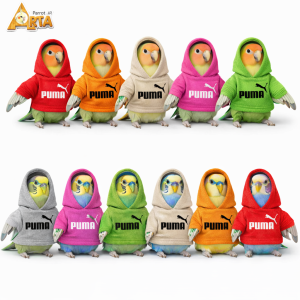 هودی برزیلی
