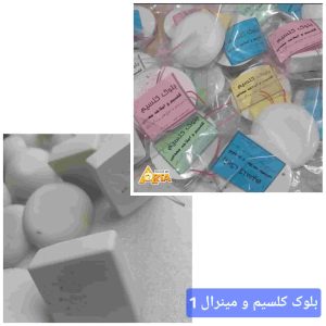 بلوک کلسیم پرندگان