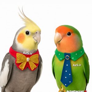 لباس و یقه طوطی سانان