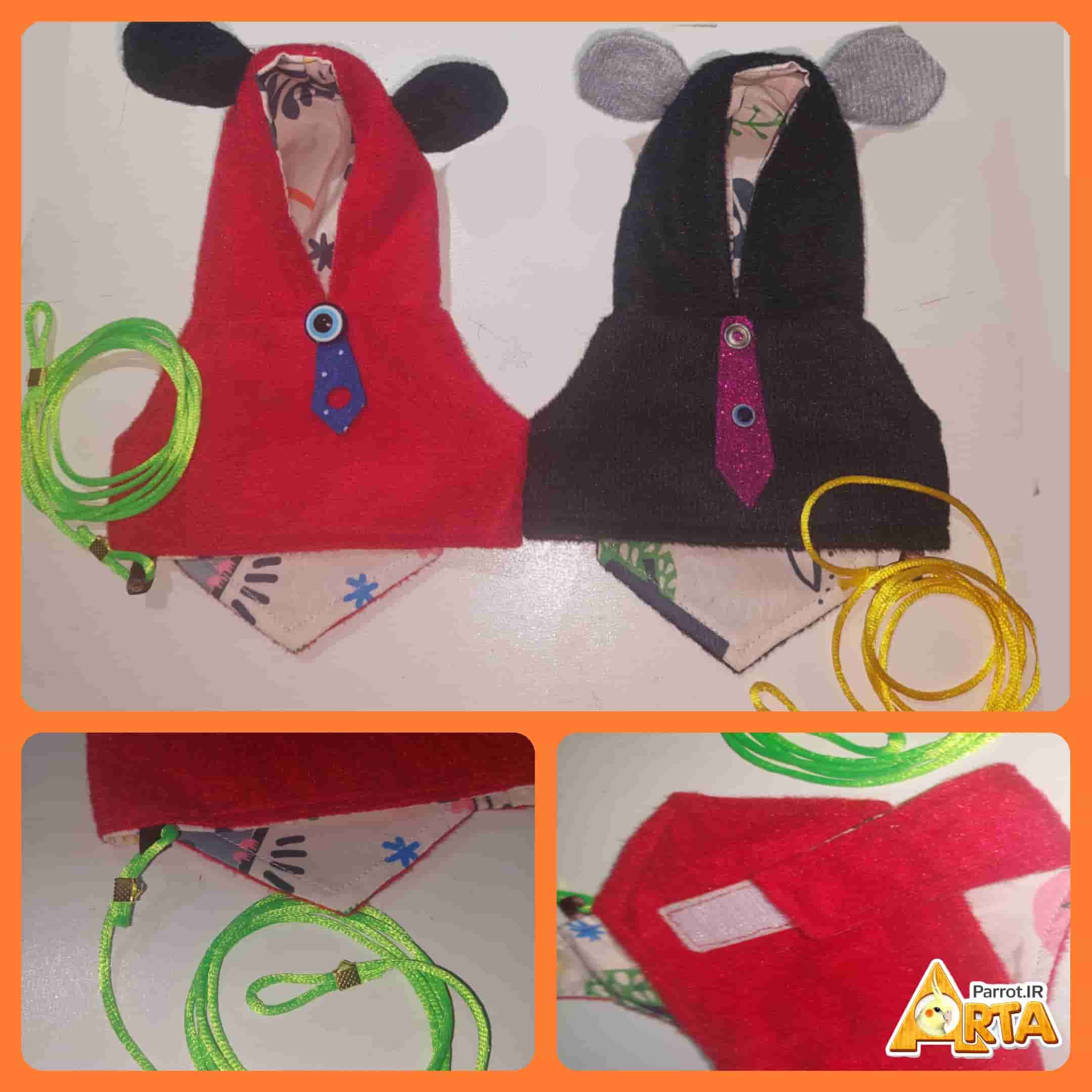 هودی ملنگو،کبوتر،مینا - Image 3