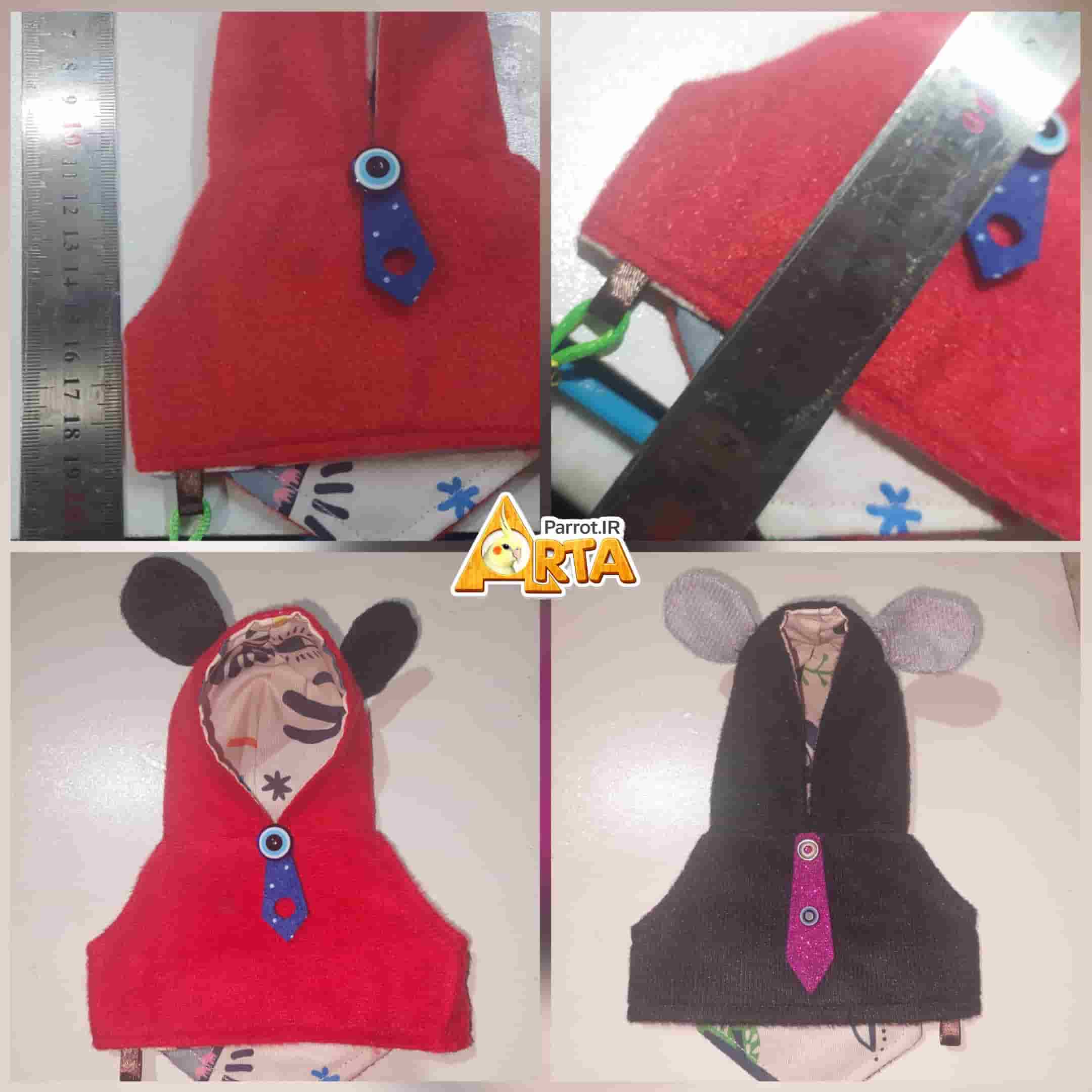 هودی ملنگو،کبوتر،مینا - Image 2