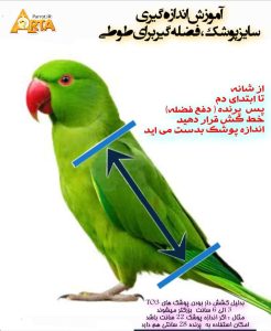 پوشک طوطی