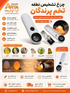 چراغ تشخیص نطفه تخم پرنده