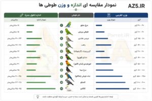 وزن ، عمر، قد ، طوطی سانان