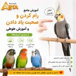اموزش رام کردن