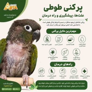 پرکنی پرنده دارو