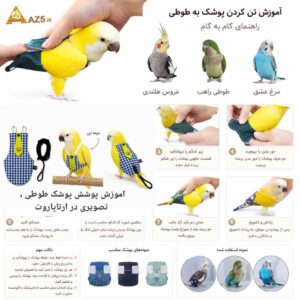 اموزش پوشک طوطی