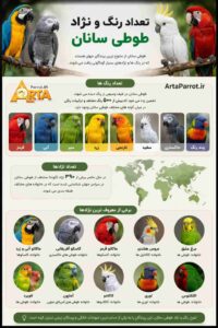 وزن و سن و عمر و قد و طوطی ها