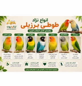 پرریری پرندگان درمان