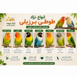پرریری پرندگان درمان