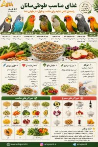 دانه پرندگان