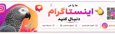 اینستگرام