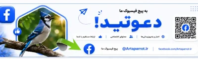 فیس بوک‌ارتاپاروت