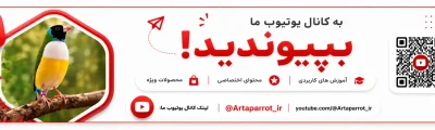 یوتوب ارتاپاروت